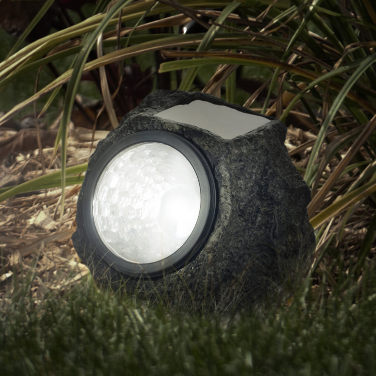 Pure Garden Gray Black Low Voltage Solar Powered Integrated LED